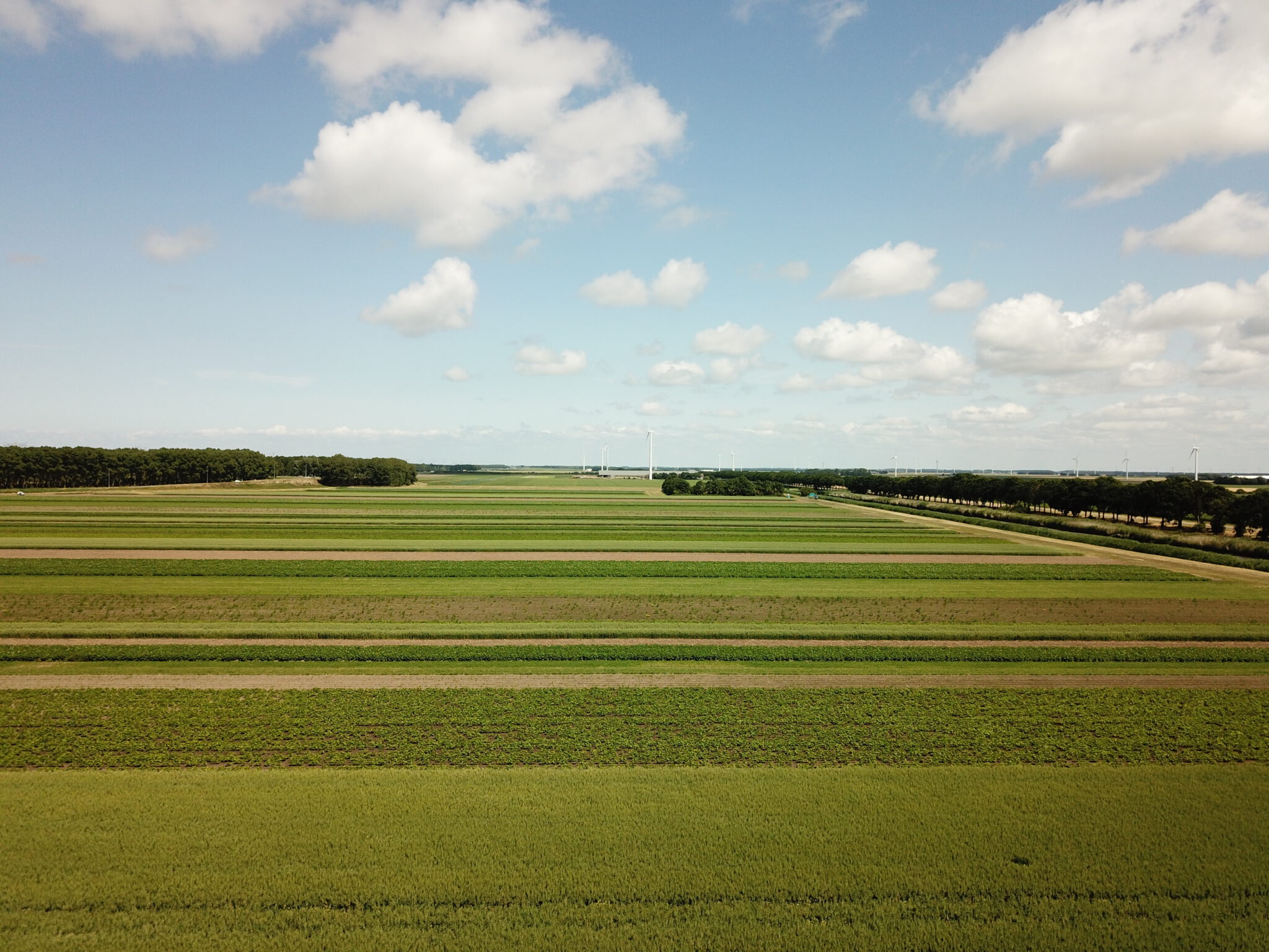 CropMix over de grens